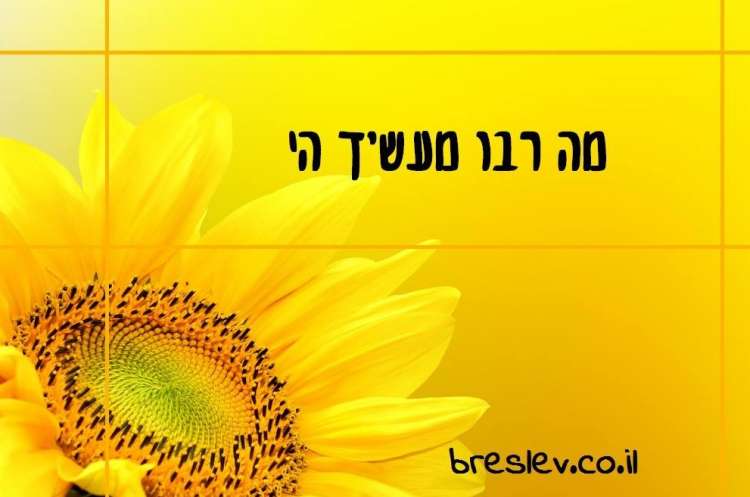 10 предложений еврейской мудрости, придающих энергию